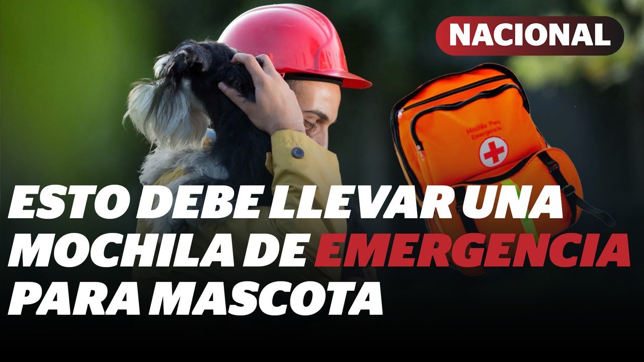¿Tienes mascotas? DEBES hacerle una mochila de emergencia | Reporte Indigo