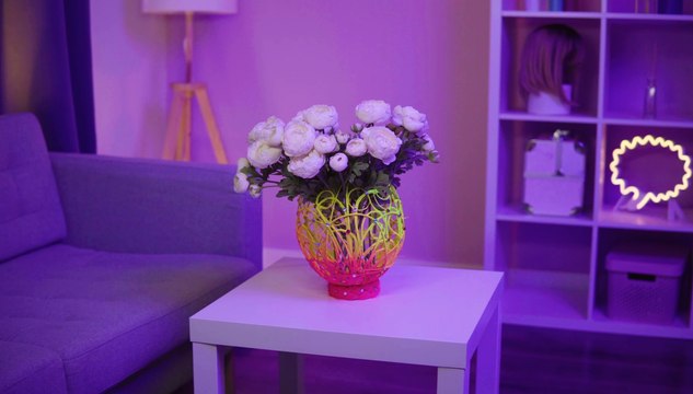 Vases FAIT MAISON : Transformez des objets de tous les jours en décorations élégantes !
