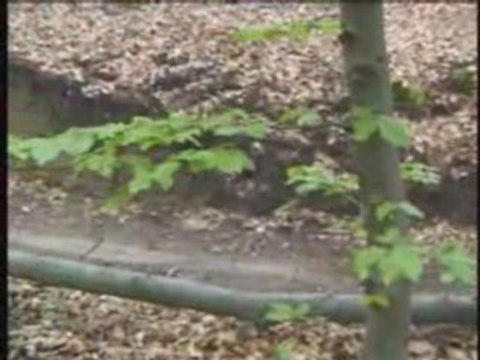 Stawowie - Natura a człowiek