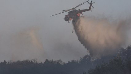 대구 산불 진화율 92%...화선 0.9㎞ 남아 / YTN