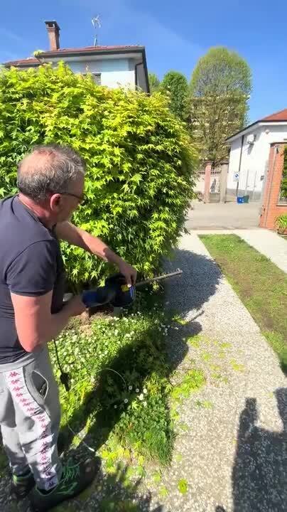 Man Accidentally Cuts Saw's Wire While Trimming Hedge