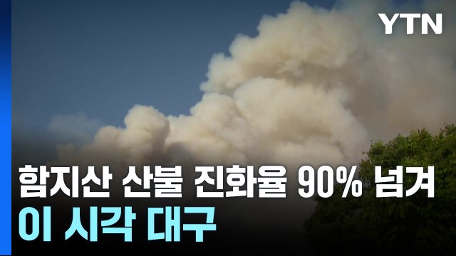 함지산 산불 진화율 90% 넘겨...이 시각 대구 / YTN