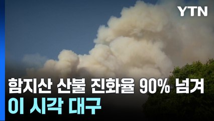 함지산 산불 진화율 90% 넘겨...이 시각 대구 / YTN