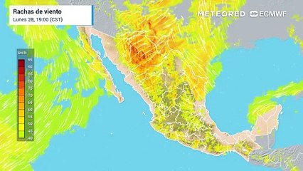 Vigilancia en el estado de Coahuila: rachas de más de 80 km/h que pueden dar paso a posibles tornados o torbellinos
