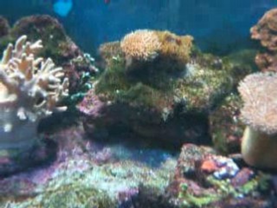 DSCF3826