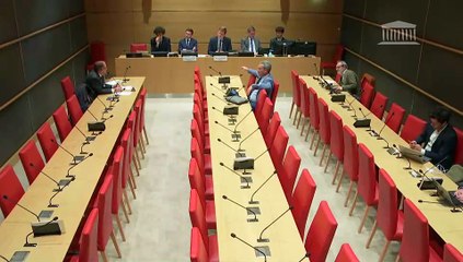 Freins à la réindustrialisation de la France : M. Jean-Luc Béal, président-directeur général de Vencorex - Lundi 28 avril 2025