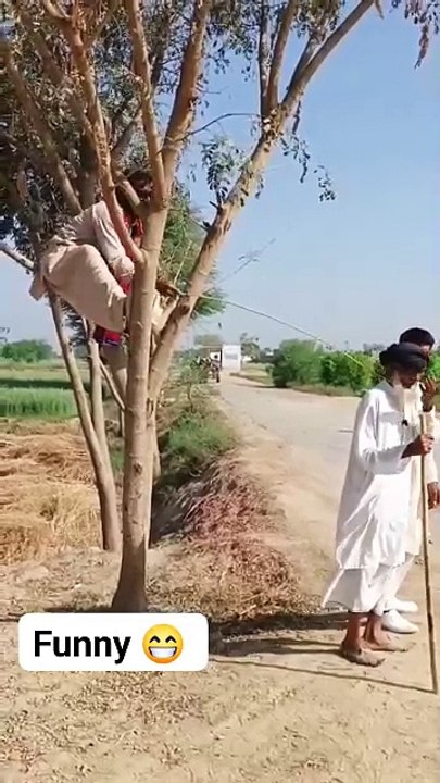 Old man Funny video
