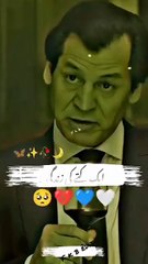 Why Dogs Are Better than Humans