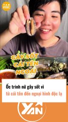 Ốc Trinh Nữ gây sốt vì ngoại hình độc lạ