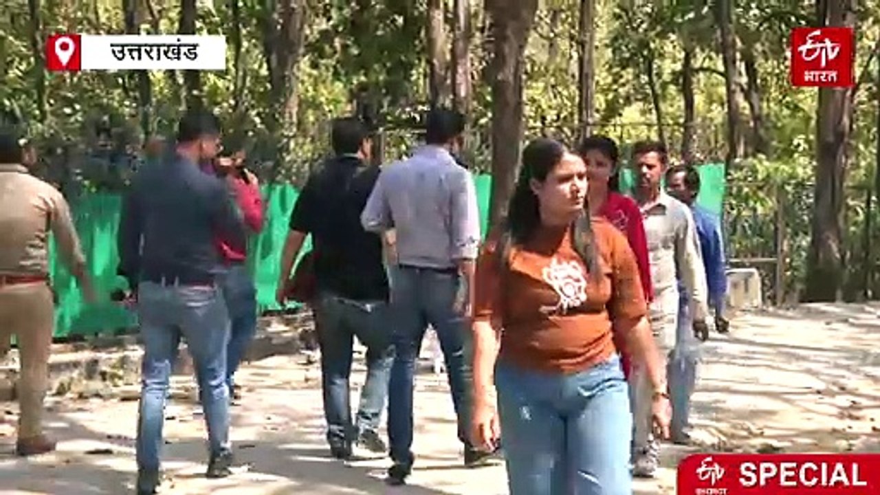 देहरादून जू को 'मालामाल' कर रही बाघों की जोड़ी, महज चार महीने में हो गई बंपर कमाई, देखने पहुंच रहे हजारों लोग