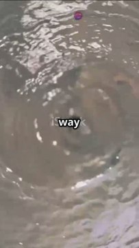 Unlock the Magic of Sonic Slushes! 100,000+ Flavors Waiting for You