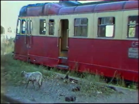 BASTIA - 1981 - SAISON 1981/1982 -