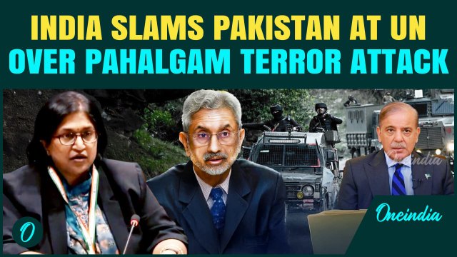 India EXPOSES Pakistan at UN, Slams it as ‘Rogue’ State After Pak Min Admits Supporting Terrorism