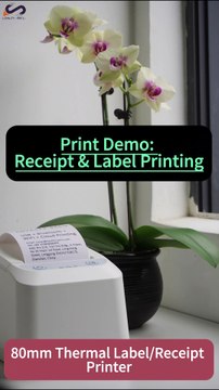 3-Inch 80mm Thermal Label & Receipt Cloud Printer with Wi-Fi, Bluetooth, API Support, Compatible with Third-Party MQTT Servers
