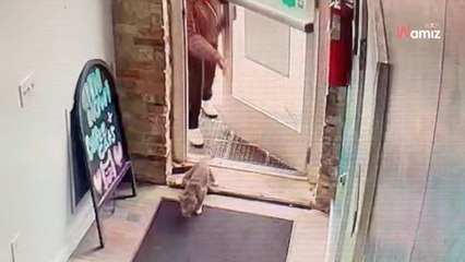 La porte du café s'ouvre : ils se mettent à crier en voyant le client qui court à l'intérieur (vidéo)