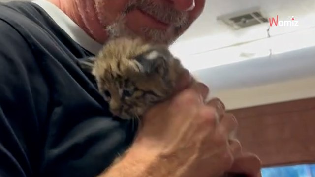 Tierschützer bekommt einen mysteriösen Karton: Als er ihn öffnet, fällt ihm die Kinnlade herunter