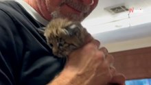 Tierschützer bekommt einen mysteriösen Karton: Als er ihn öffnet, fällt ihm die Kinnlade herunter