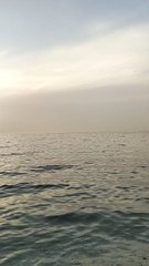 Al heera beach ⛱️⛱️ of Sharjah (dubai)