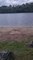 Miniature DailyMotion