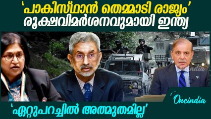 പാകിസ്ഥാനതെതിരെ രൂക്ഷവിമർശനവുമായി ഇന്ത്യ. | India At UN About Pahalgam Attack update
