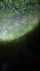 🧳 Roadtrip en Indre • J5 (E3) • Exploration du jardin de nuit | Dernier jour ■ END