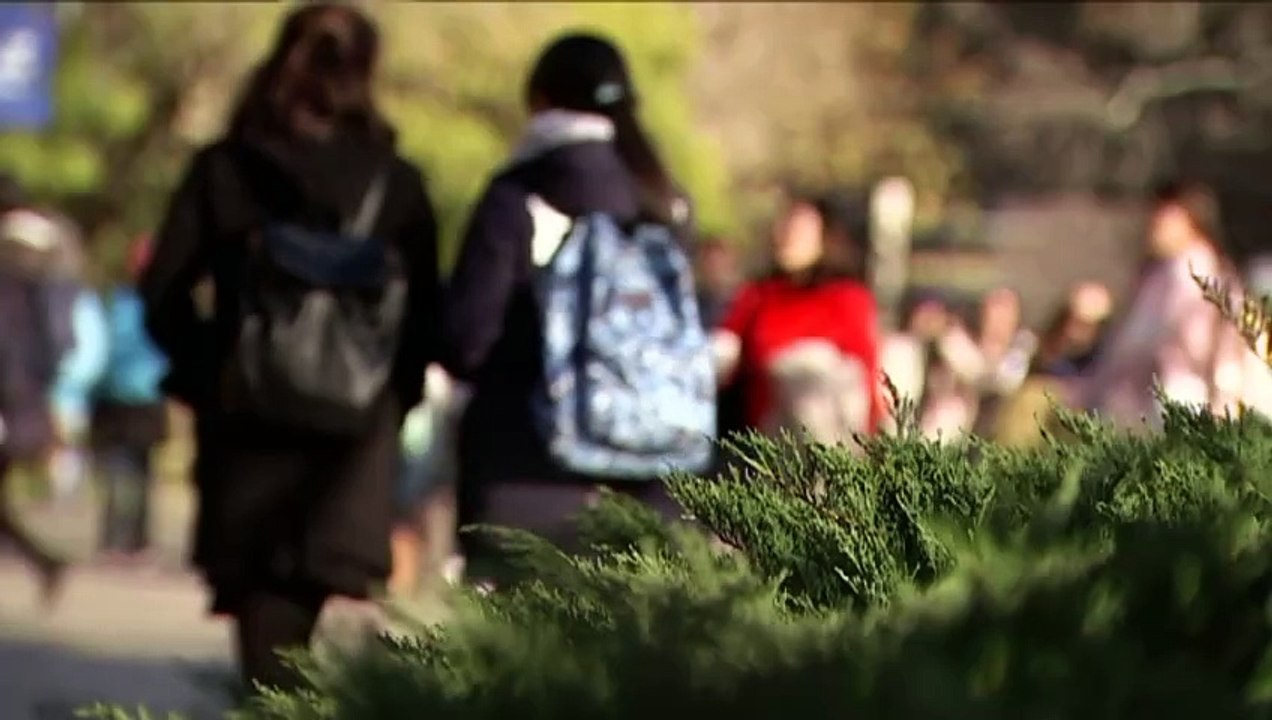 ABC data shows 67% of Gen Z women identify as left-leaning