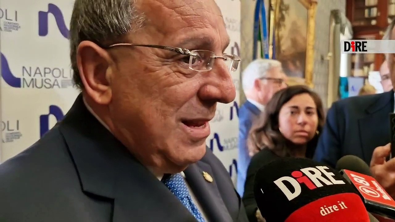 Napoli - SICUREZZA. PREFETTO NAPOLI: DARE ESEMPIO DI SQUADRA STATO  (28.04.25)