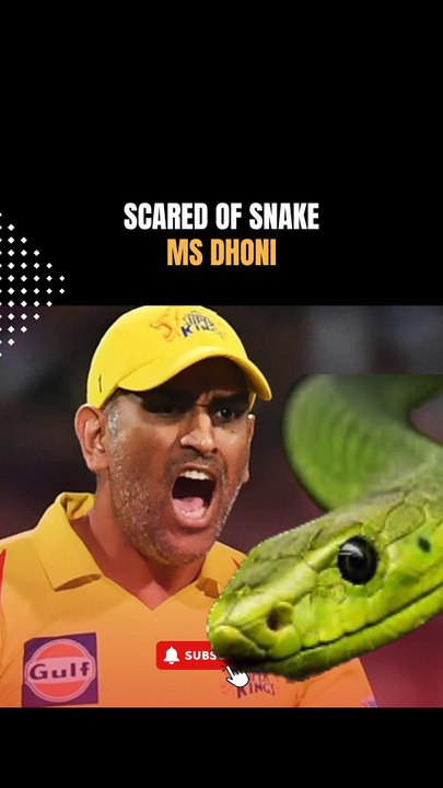 Dhoni ka sab se bara Dar
