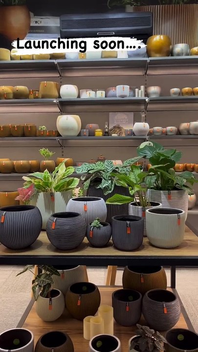 Buy Pots and Planters Online to Elevate Every Corner