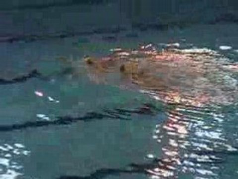 Championnat d'Europe Juniors 2008 Duo canada