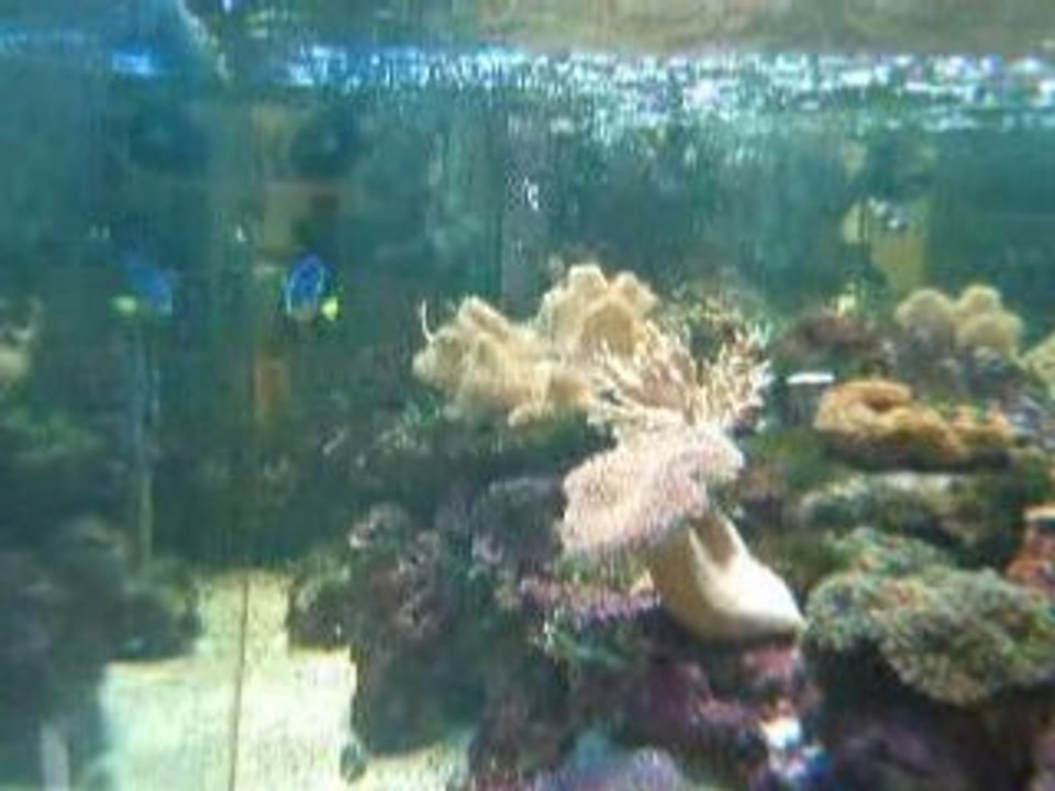 DSCF3820
