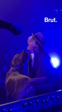 Dans les coulisses du concert de Peter Doherty