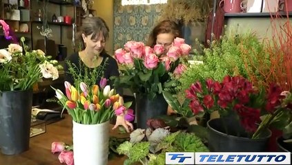 Video News - La "Botanica" che cambia la vita