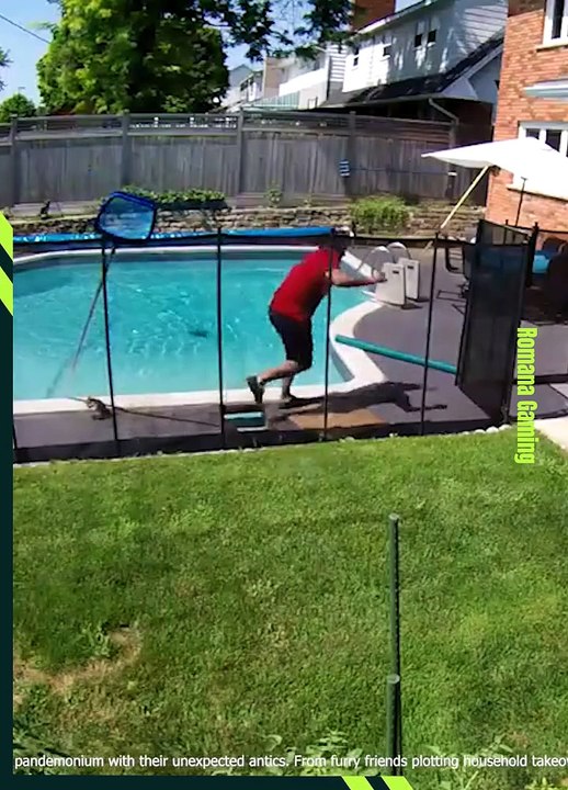 Tiny troublemakers at it again! 😂