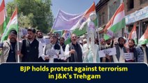 BJP holds protest against terrorism in J&K’s Trehgam