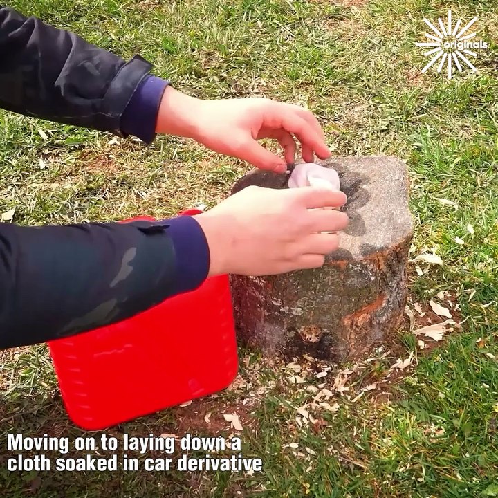 Making Stump Removal an Easy Job!🔥