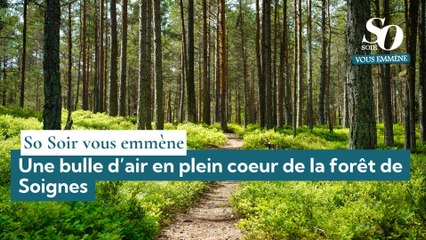 So Soir vous emmène : une bulle d’air en plein coeur de la forêt de Soignes