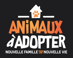 Animaux à adopter