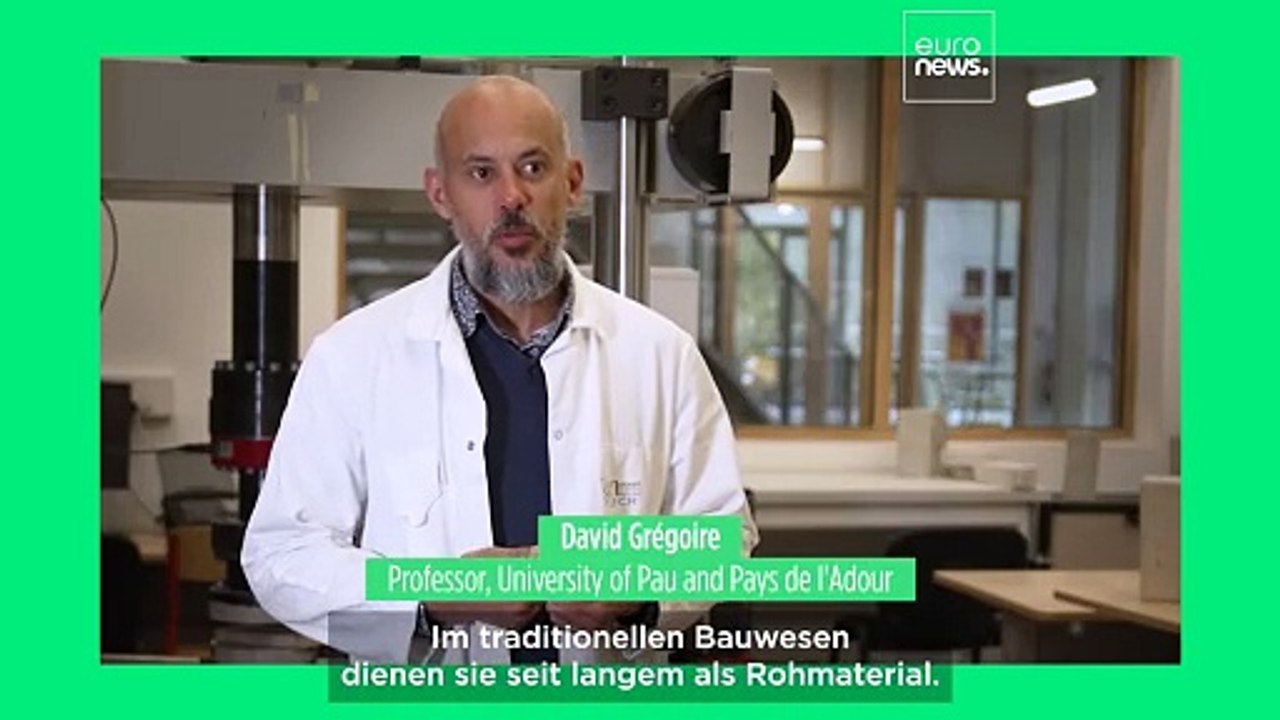 Treffen Sie den französischen Professor, der Austernschalen in Ökobeton verwandelt