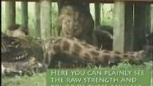 Going_wild_ep2
