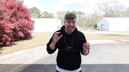 Mr beast challange video