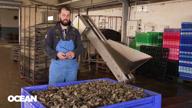 Nothing goes to waste: Coastal industries are upcycling oyster shells and old fishing nets