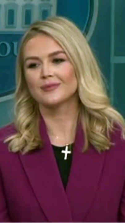 Foreigners Illegally entering USA is by Definition a Criminal & Deported Immediately - Karoline Leavitt
