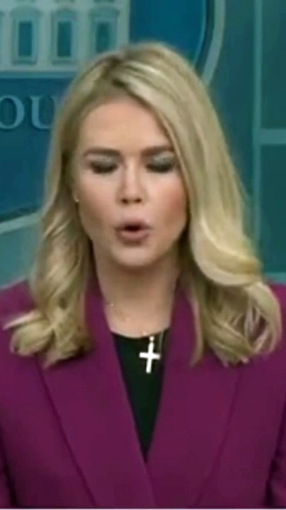 Immigrants involved in Heinous acts Terrorizing law abiding American Citizens are Deported - Karoline Leavitt