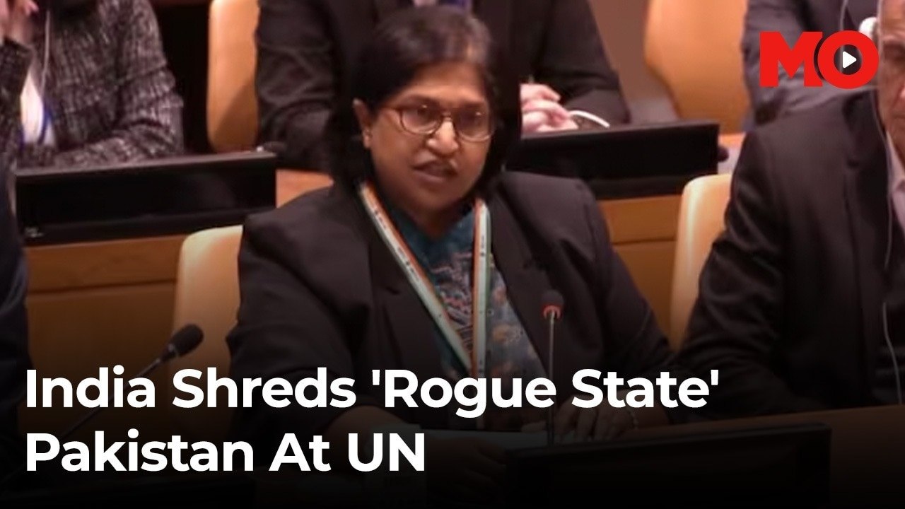 India shreds 'rogue state' Pakistan at UN