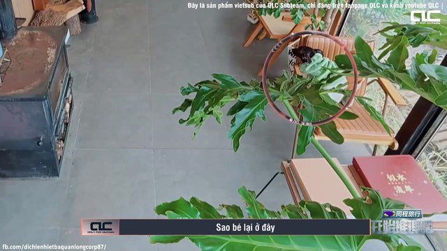 [VIETSUB | Nhiệt Ba Cut] Bắt Đầu Suy Luận Nào mùa 3 - Tập Mở đầu (Phần 1)