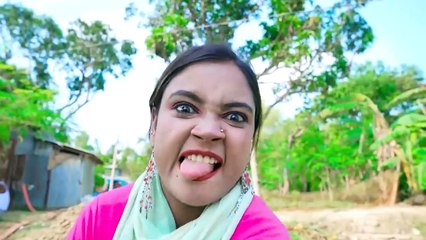 New Entertainment Top Comedy Video, Best Comedy in 2023 Episode 217 By #Busyfunltd