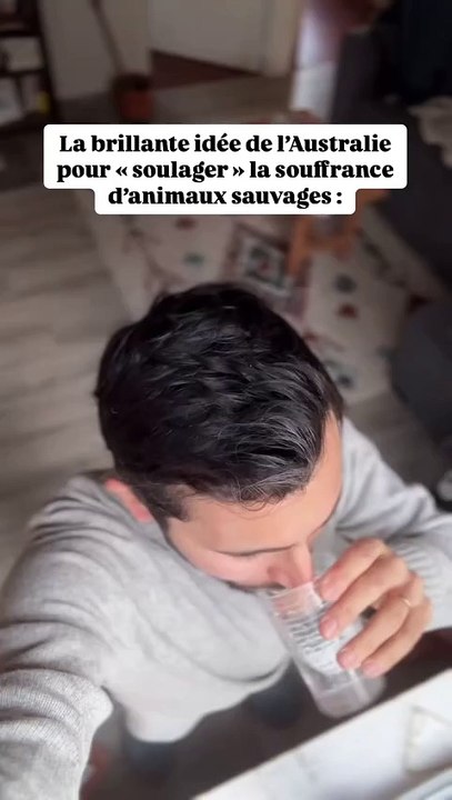 La protection animale vue par les australiens