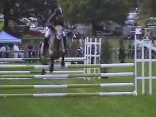 Chateaubriant-D3P-Native de St Fray