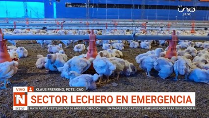 Lechería boliviana se apaga lentamente, afirma la CAO